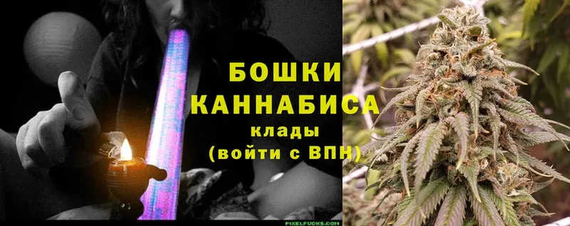 Бошки Шишки SATIVA & INDICA  Переславль-Залесский 